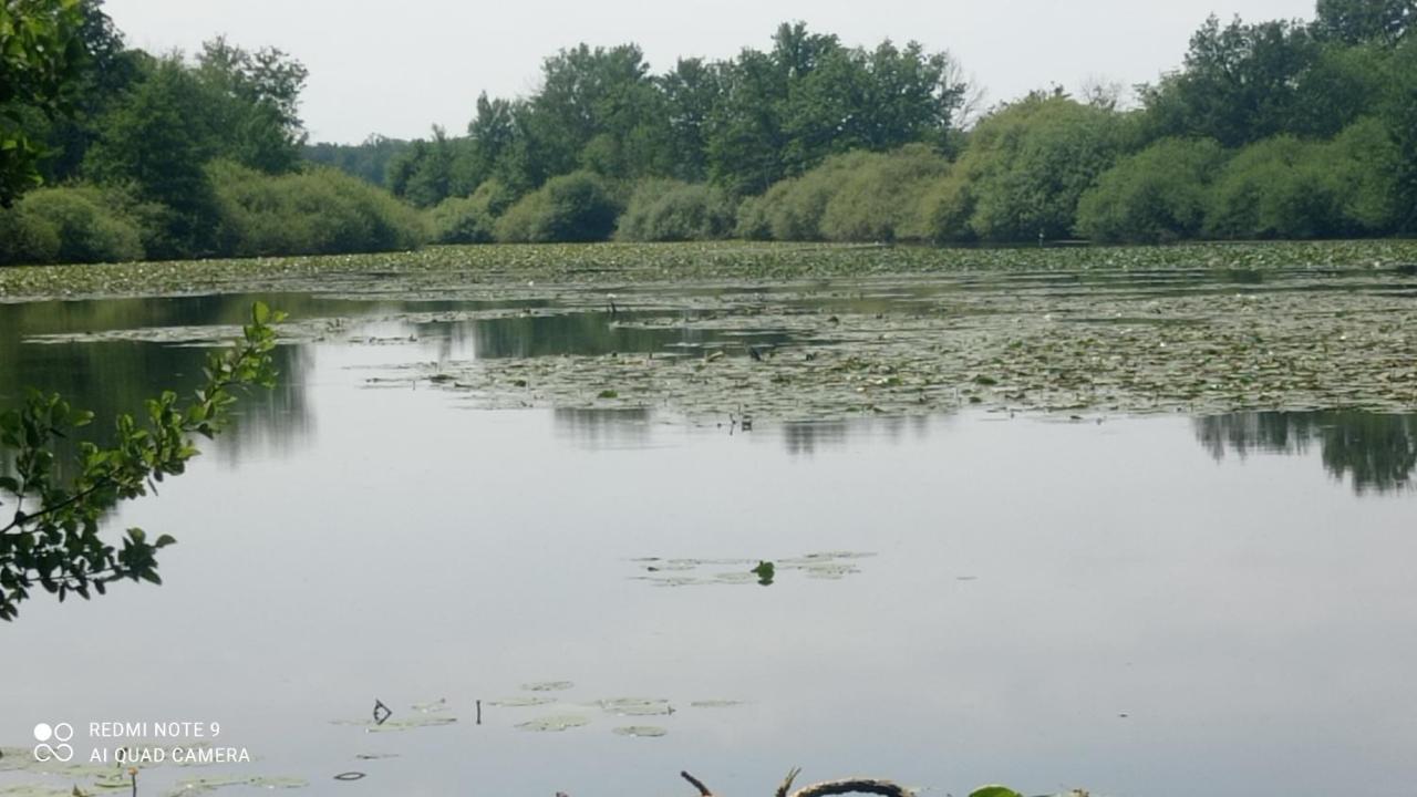 Maison De Ferme Au Calme Jusqu'A 10 Personnes Gannay-sur-Loire Eksteriør bilde